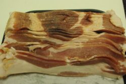 Bacon
