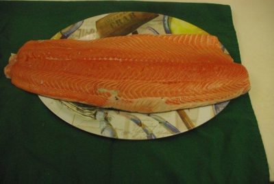 Salmon